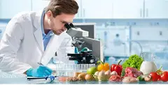 Ensure Food Safety with EKO TESTING LAB Services