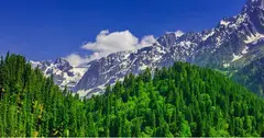 Kashmir Leh Ladakh Tour Package From Srinagar Airport - Best Offer From Adorable vacation LLP