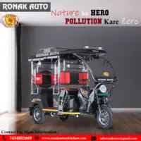 Battery Rickshaw - 1