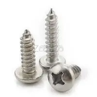Buy Stainless Steel Self Tapping Screws - Shirazee Traders - 1