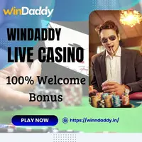 Windaddy: A Premier Place for a Superior Betting Experience