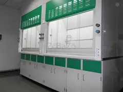 Manufacturer and Supplier of Lab Fume Hood