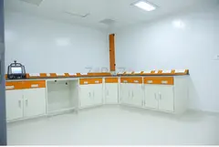 Manufacturer and Supplier of Lab Fume Hood