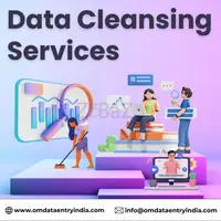 Get High-Quality Data Cleaning Services at Just $4/hour