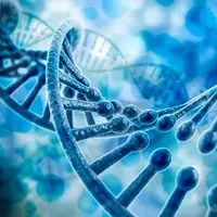 Simplify Your Lab Workflow with our One-Step RT-PCR Kit