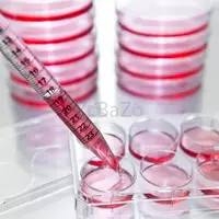 Simplify Your Lab Workflow with our One-Step RT-PCR Kit