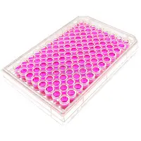 Simplify Your Lab Workflow with our One-Step RT-PCR Kit