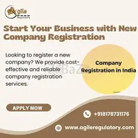 Company Registration Services in Delhi NCR