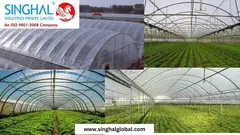 Greenhouse Film: The Essential Solution for Modern Agriculture