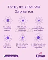 Lesser-Known Fertility Facts by Ekam Fertility – Infertility Stats That Matter