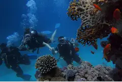 Scuba Diving in Chivla Beach - Explore Hidden Marine Treasures Underwater!