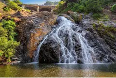 Dudhsagar Waterfall Trip - Witness the Majestic Cascade of Nature!