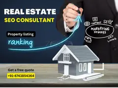 Need More Property Leads? Have You Tried Expert SEO Consulting?