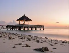 Book Affordable Flights with Flighta!