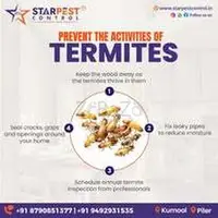 Snake Control or Catcher Experts in Kurnool || Star Pest Control