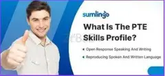 Everything You Need to Know About the PTE Skills Profile - 1
