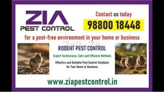 Rodent Control | Rodent treatment | Pest control services near me | 8071