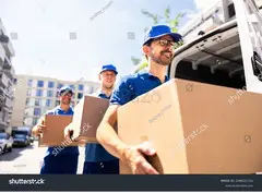 Top 7 Domestic Courier Australia Services for Fast Delivery