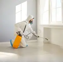 Pest Control Services Near Me – Affordable Excellence