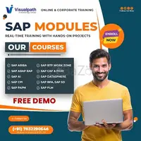 Build a High-Growth SAP Career with Visualpath Now Today