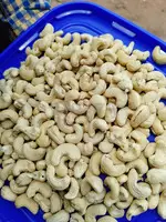 Howrah w240 grade cashew nuts wholesaler in Kolkatta