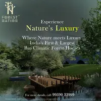 Forest Nation villas