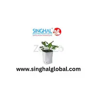 Advanced Plant Propagation Solution for Stronger Saplings