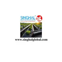 Mulch Film Supports Efficient Farming With Better Crop Management