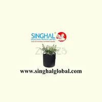 Reliable Growing Containers For Vibrant Green Cultivation