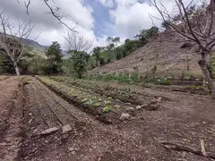 Massive Mountain Estate for sale. Salitral Santa Ana Costa Rica.