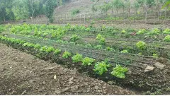 Massive Mountain Estate for sale. Salitral Santa Ana Costa Rica.