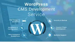 Mrs. Sushma Sain | Hire Jaipur’s Best WordPress Development Expert for Modern Businesses