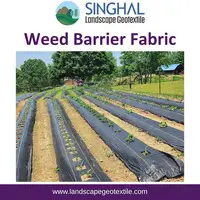 Easy Guide to Weed Barrier Fabric for Beginners
