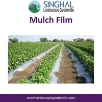 Strong Mulch Film for Effective Weed Control
