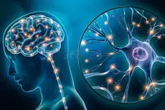 Best Neurologist in Madurai | Devadoss Hospitals