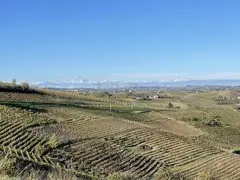 Land with views for Sale in Piemonte