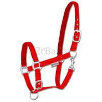 Capezza Cavallo Imbottita in Nylon con Regolazione Multipla e Finitura Opaca