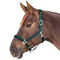Capezza Cavallo Imbottita in Nylon con Regolazione Multipla e Finitura Opaca