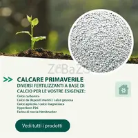 Agritura – Patate da Seme di Val Pusteria e Calce per un Orto Forte e Fertile