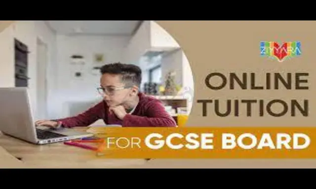 Top-Notch GCSE Online Home Tuition with Ziyyara Edutech - 1/1