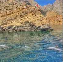 Book Dolphin Khasab Tours In Oman