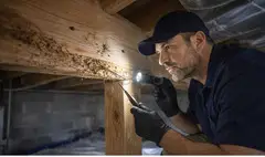 Termite Treatment