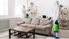 Pest Management Service