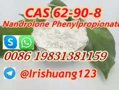 Nandrolone Phenylpropionate 62-90-8 (Steroidal) at best price