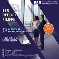 File ESR Reporting now - Deadline is 31st December - 1