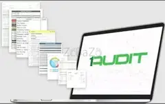 External Audit Software Solutions