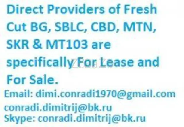 Providers of Fresh Cut BG, SBLC and MTN - 1/1