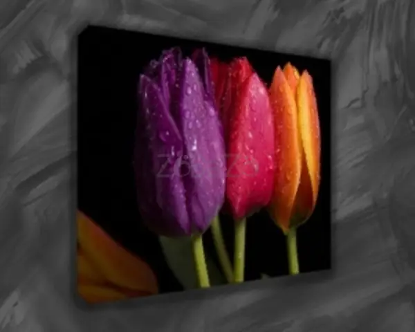 Buy Canvas Prints for Your Home Decor - 1/1