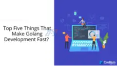What are the reasons to select Golang Development Services?