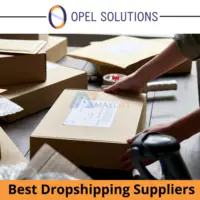 How Best Dropshipping Suppliers change the ecom business | Opelsolutions